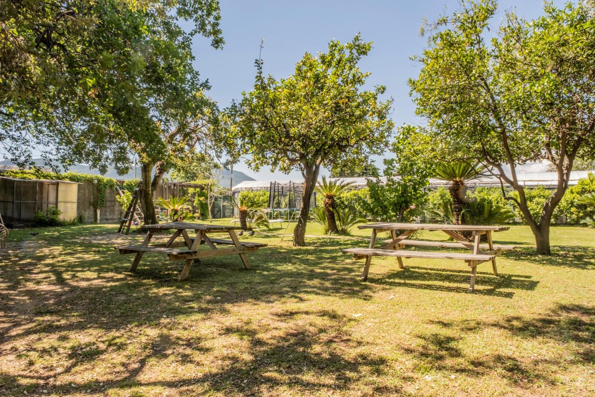 Agriturismo Giorgi Appartamenti In Riviera Ligure Albenga Luaran gambar